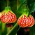 Lanterna Chinesa - Abutilon striatum - Imagem 1