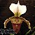 Orquídea Paphiopedilum leeanum - Imagem 1