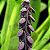 Orquídea Pleurothallis saurocephala - 15cm - Imagem 2