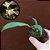 Orquídea Bifrenaria melicolor - Ad - Imagem 1
