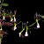 Orquídea Epidendrum melanoporphyreum - 15cm - Imagem 2