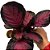 Maranta Rosea - Calathea sp - Imagem 2
