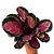 Maranta Rosea n.02 - Calathea sp - Imagem 1