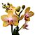 Orquídea Phalaenopsis Amarela striata - Imagem 1