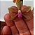 Orquídea Phalaenopsis honghenensis x mariae - Ad - Imagem 2