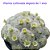 Cacto Mammillaria plumosa - Imagem 1