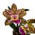 Orquídea Cattleya Pão de açucar x Corcovado - AD - Imagem 2