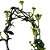 Planta Ceropegia sandersonii - Ad - Imagem 3