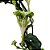 Planta Ceropegia sandersonii - Ad - Imagem 2