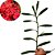 Orquídea Renanthera coccínea - Ad - Imagem 2