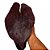 Caladium Rubro Especial - 30cm - Imagem 1