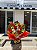 Buque 6 rosas Gold - Imagem 2