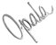 Emblema Chevrolet Opala Lateral Traseira 69/72 - Imagem 2
