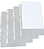 PLASTICO A4 UNIVERSAL C/100 UNID ACP - Imagem 1
