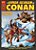 A ESPADA SELVAGEM DE CONAN - A COLEÇÃO – VOL. 41 - Imagem 1