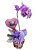Orquidea Grande - Imagem 1
