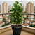 Vaso Planta Grande Redondo Número 50 42,5 Litros Bella Fiore Interno Externo Rischioto - Imagem 3