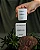 Vela perfumada Bamboo Moso 70G - Imagem 3