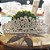 Coroa Princesa Clássica para Casamento Noiva Debutantes e Festas - Dourada - Imagem 2