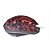 Mouse Gamer Led Decorativo com Fio Botões Laterais 3200DPI RG-50 - Imagem 3