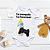 Body Personalizado Bebê Tá Tranquilo, Tá Favorável - Imagem 1