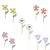 Toppers flores do campo (10 und) - Imagem 1