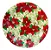 Prato de papel natal estampa poinsetia (10 und) - Imagem 1