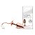 PLUG ANAL COM PINGENTE SLIM - MT043 - Imagem 1