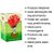 FRUIT SEXY MAÇA DO AMOR 40ml - Imagem 2