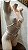 BODY VIRGEN - BRANCO - Imagem 3