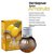 KIT COM TRES FRUIT SEXY HOT AMARULA 40ml ( cada sai por 14,93 no pix ) - Imagem 2