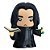 Fandom Box Severus Snape - Harry Potter - Imagem 2