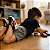 Tênis Infantil Molekinho Veloz Com Led Preto e Cinza - Imagem 7