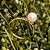 Anel Ouro 18k Pérola Natural - Imagem 12