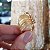 Anel Bold Ondas Ouro 18k - Imagem 8