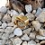 Anel Bold Quadrado Ouro 18k - Imagem 9
