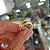 Anel Bold Duo Ouro 18k - Imagem 5