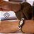 Relógio Mondaine Feminino Bicolor 32974lpmvbm3 - Imagem 1