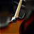 Contrabaixo SX SJBALDER 4 Cordas American Alder 3 Tone Sunburst - Imagem 4