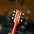 Guitarra Shelter S100FW LP Flamed Maple Honey Sunburst HH Wilkinson - Imagem 2