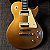 Guitarra Shelter S100W Gold Top LP Captadores Wilkinson HH - Imagem 2