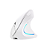 Mouse Vertical Sem Fio Wireless E Bluetooth Recarregavel Usb - Imagem 4
