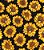 Tecido Tricoline Girassol Fundo Preto - Imagem 1