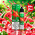 NicSalt Vgod 30Ml 25mg - Imagem 8