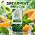 Nicsalt Hypnos 50mg 30ml - Linha Spearmint - Imagem 10