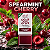 Nicsalt Hypnos 50mg 30ml - Linha Spearmint - Imagem 5