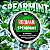Bolsas De Nicotina Rodman - Spearmint - Imagem 2