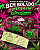 Piteira de Papel Vergê Bem Bolado Super Large Girls In Green - Imagem 1
