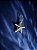 Estrela do Mar - Imagem 2