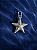 Estrela do Mar - Imagem 1